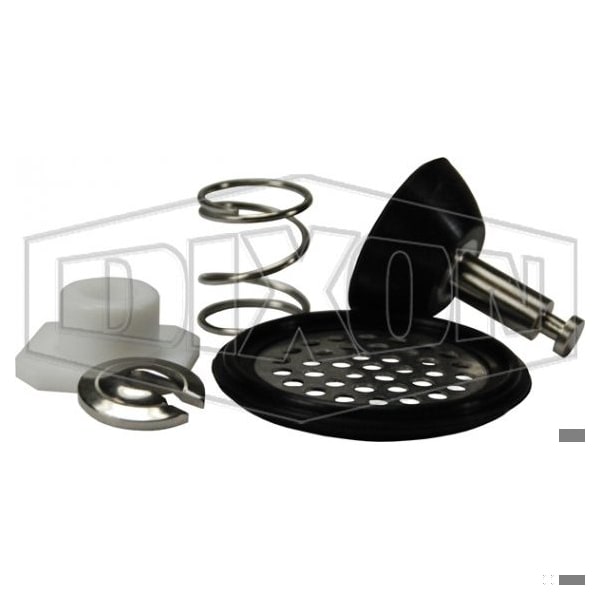 Dixon Air Blow Check Valve Repair Kit B45AB-RK - main